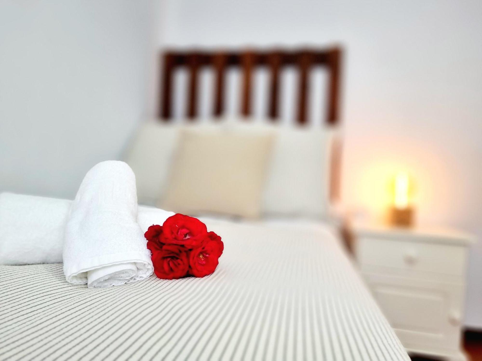 Centrico Apartamento Santander